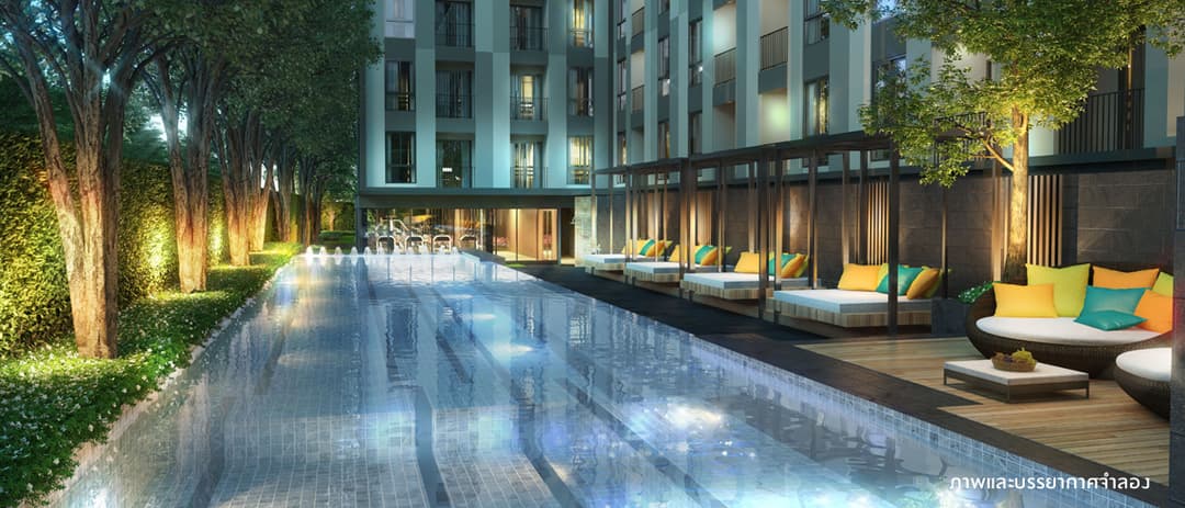 Plumcondo Chokchai 4